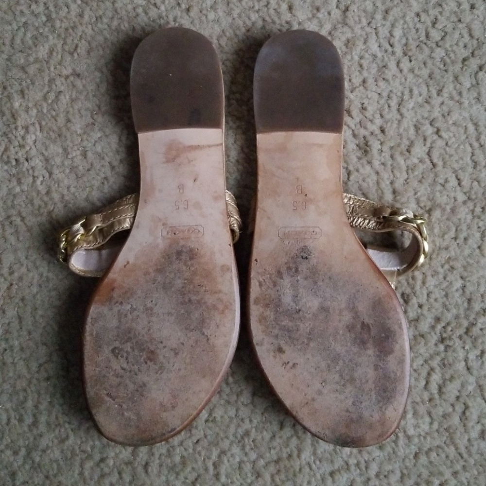 Coach sandal - Picture 2 of 6